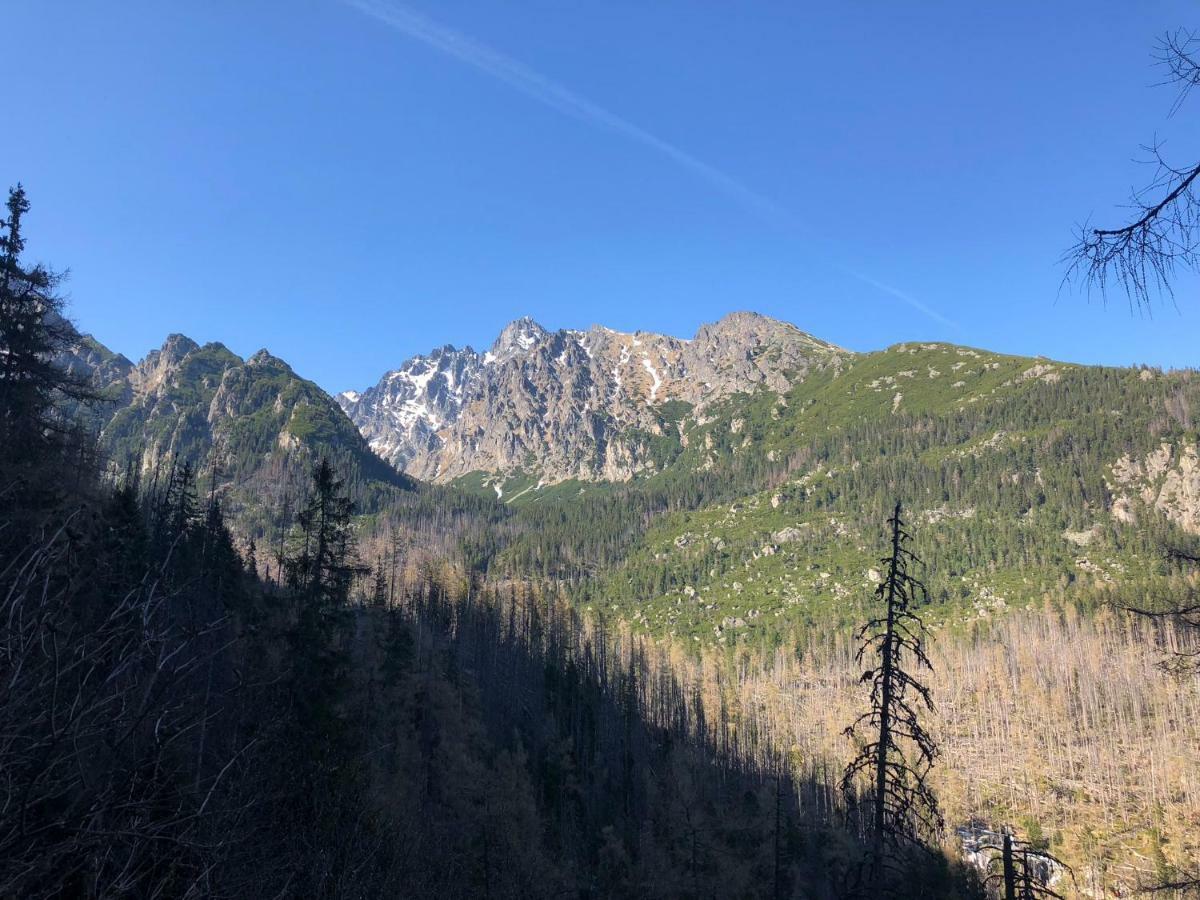 Vila Horec, Vysne Hagy Vysoke Tatry Bagian luar foto