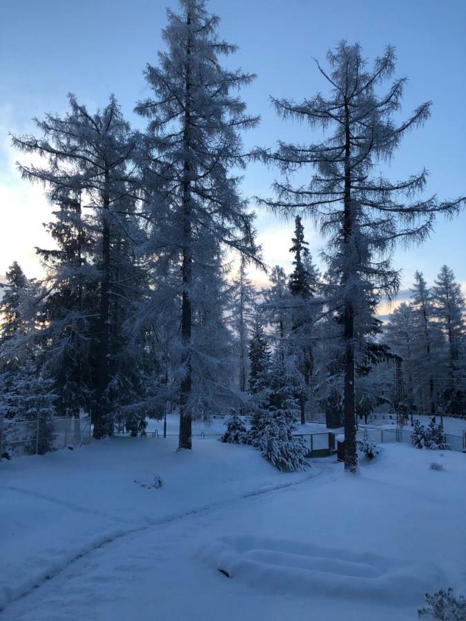 Vila Horec, Vysne Hagy Vysoke Tatry Bagian luar foto